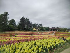 -保利石象湖景区