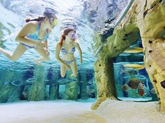 -杭州开元森泊度假乐园