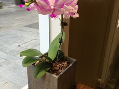 景观位-琥珀咖啡 Ambercoffee