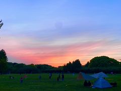 -上海共青森林公园