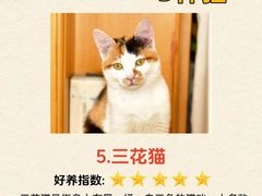 -宠颐生斯嘉宠物医院·急重症·心内科(谷阳北路分院)