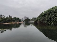 -荔枝公园(福田区)
