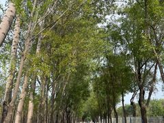 -东郊湿地公园
