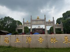 -庐山风景名胜区-东林大佛