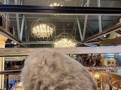 -more than meow吴止猫主题餐厅(承德 中船汇店)