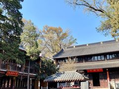 -灵谷景区