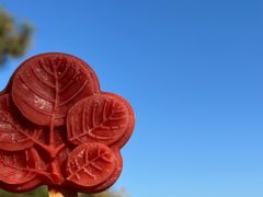 -香山公园