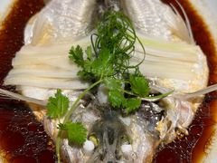 -宁波柏悦酒店·钱湖渔港