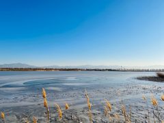 -野鸭湖国家湿地公园