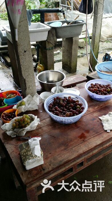 马陆妹妹葡萄园