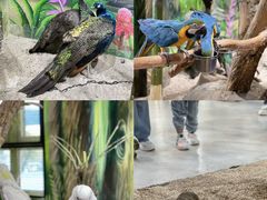 -海合安武汉极地海洋公园