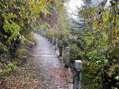 -云顶山风景区
