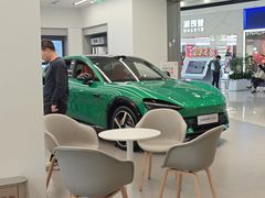 -小米之家汽车(永旺梦乐城店)