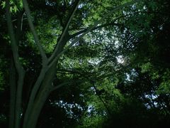 -虎跑公园
