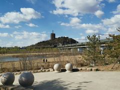 -永定河休闲森林公园