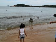-海驴岛(荣成市)