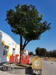 -前小桔亲子创意农场·草莓采摘·露营烧烤