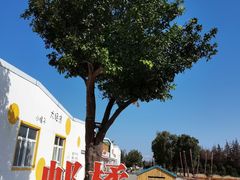 -前小桔亲子创意农场·草莓采摘·露营烧烤