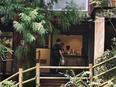 -天目山大树王景区