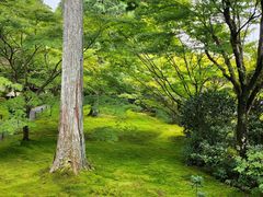 -三千院