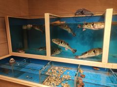 水产区-天正河鲀·河豚亭(大连店)