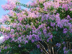 -杭州城北体育公园