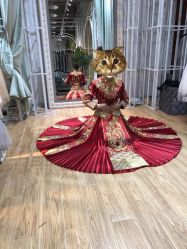 -韩国天使嫁衣婚纱礼服馆(上海旗舰店)
