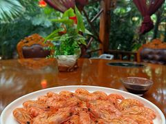 -东方华地城湿地温泉度假区