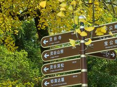 -灵谷景区