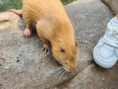 -北京野生动物园