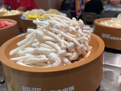 -龍歌自助小火锅(李沧丽达店)