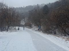 -北京西山国家森林公园