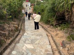 -杨梅坑