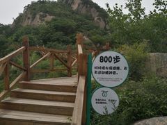 -大岭沟猕猴桃谷风景区