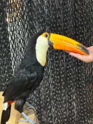 -Zoolung Zoolung动物主题公园(海信广场店)