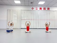 -小芳舞蹈团·少儿舞蹈·中国舞(龙江校区)