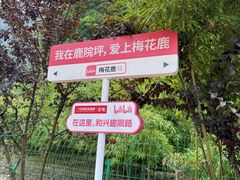 -鹿院坪生态旅游景区