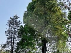 -重庆中央公园(渝北区)