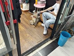 -青石桥花鸟鱼虫市场(叠翠城店)