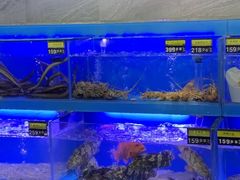 水产区-臻悦海宴.家宴(奥体中心店)