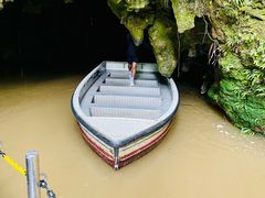 -怀托摩萤火虫洞