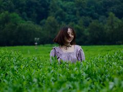 -中国茶叶博物馆(双峰馆区)
