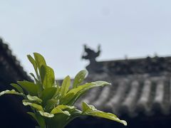 -山西王家大院