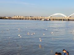 -人民防洪胜利纪念塔