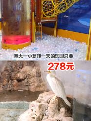 -七巧国萌宠乐园(龙湖天街店)