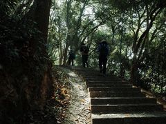 -杭州植物园