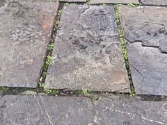 -高淳老街土菜馆(迎薰门店)