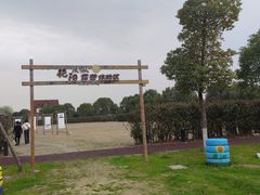-艳阳度假酒店·餐厅
