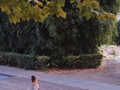 -白塘生态植物园