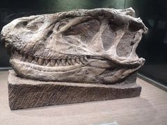 -自贡恐龙博物馆